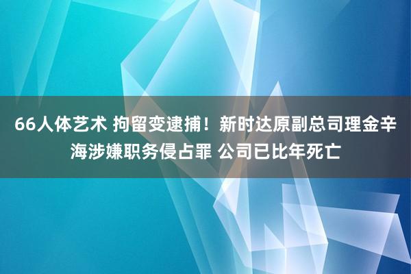 66人体艺术 拘留变逮捕！新时达原副总司理金辛海涉嫌职务侵占罪 公司已比年死亡