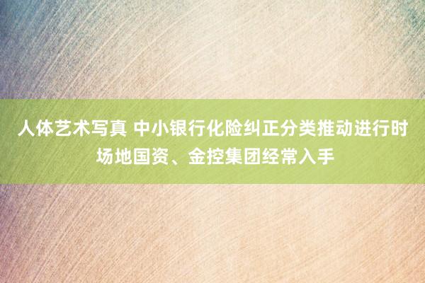 人体艺术写真 中小银行化险纠正分类推动进行时 场地国资、金控集团经常入手