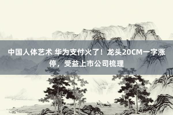 中国人体艺术 华为支付火了！龙头20CM一字涨停，受益上市公司梳理