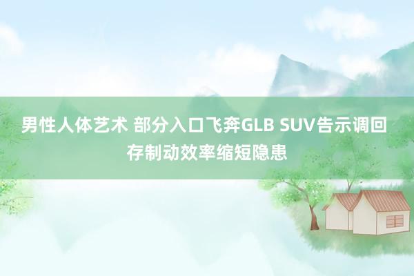 男性人体艺术 部分入口飞奔GLB SUV告示调回 存制动效率缩短隐患