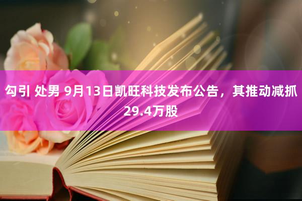 勾引 处男 9月13日凯旺科技发布公告，其推动减抓29.4万股