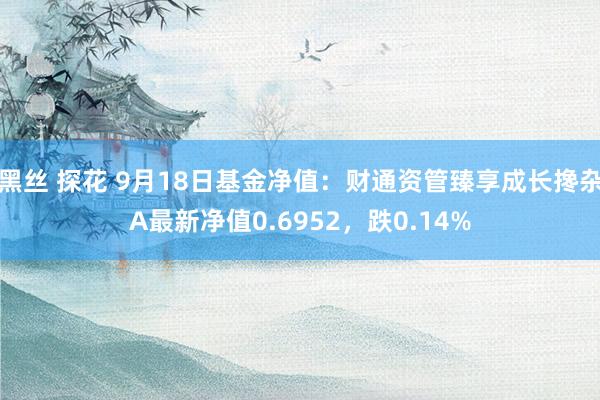 黑丝 探花 9月18日基金净值：财通资管臻享成长搀杂A最新净值0.6952，跌0.14%