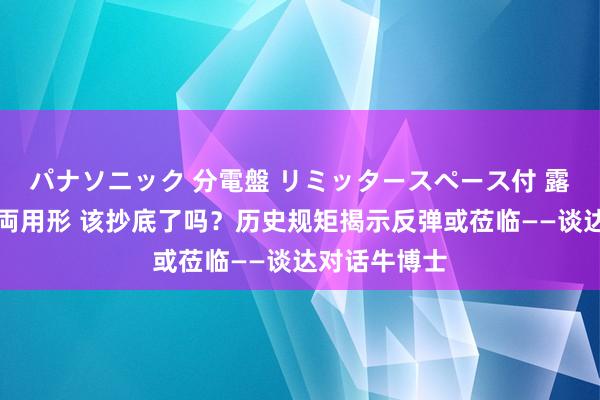 パナソニック 分電盤 リミッタースペース付 露出・半埋込両用形 该抄底了吗？历史规矩揭示反弹或莅临——谈达对话牛博士