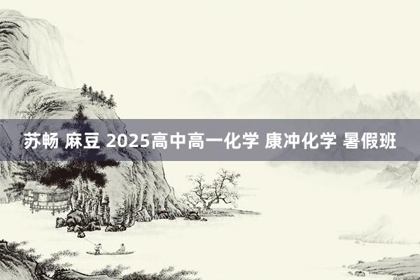 苏畅 麻豆 2025高中高一化学 康冲化学 暑假班