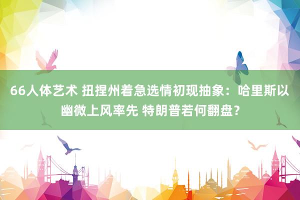 66人体艺术 扭捏州着急选情初现抽象：哈里斯以幽微上风率先 特朗普若何翻盘？