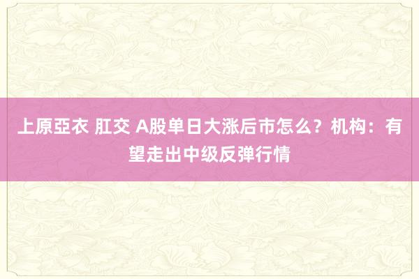 上原亞衣 肛交 A股单日大涨后市怎么？机构：有望走出中级反弹行情