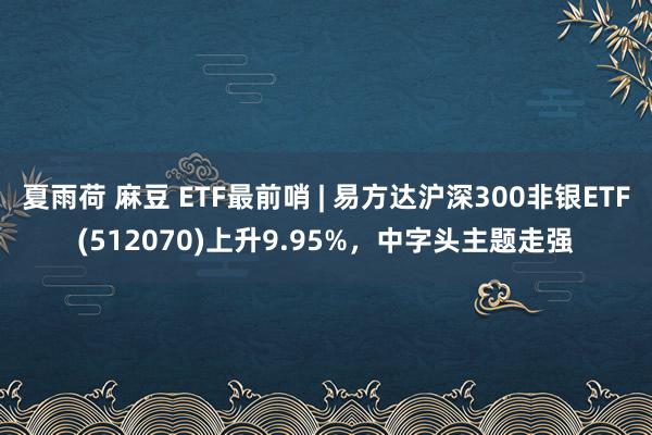 夏雨荷 麻豆 ETF最前哨 | 易方达沪深300非银ETF(512070)上升9.95%，中字头主题走强