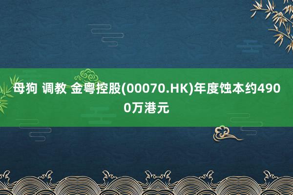 母狗 调教 金粤控股(00070.HK)年度蚀本约4900万港元