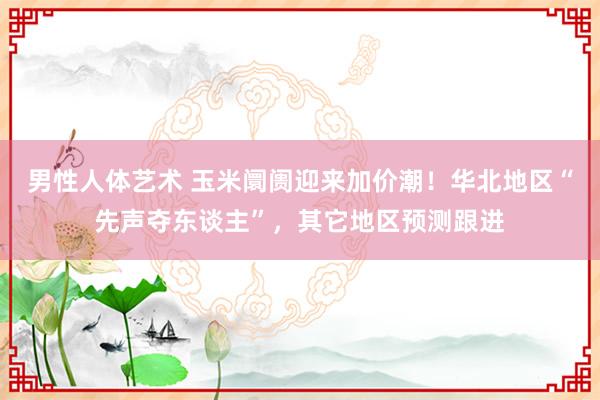 男性人体艺术 玉米阛阓迎来加价潮！华北地区“先声夺东谈主”，其它地区预测跟进