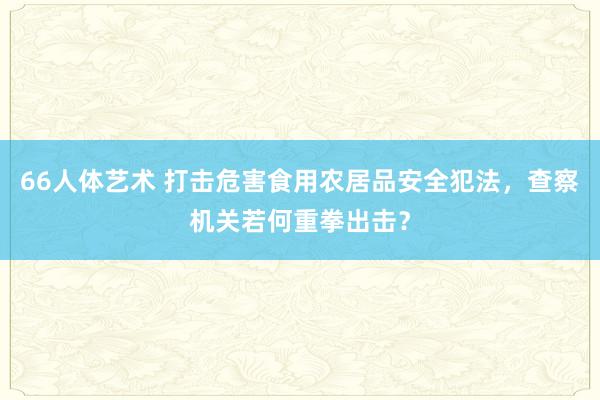 66人体艺术 打击危害食用农居品安全犯法，查察机关若何重拳出击？