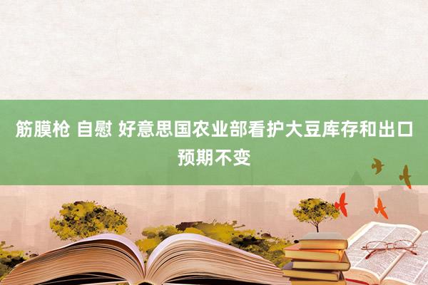 筋膜枪 自慰 好意思国农业部看护大豆库存和出口预期不变