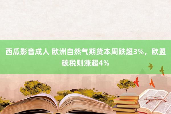 西瓜影音成人 欧洲自然气期货本周跌超3%，欧盟碳税则涨超4%