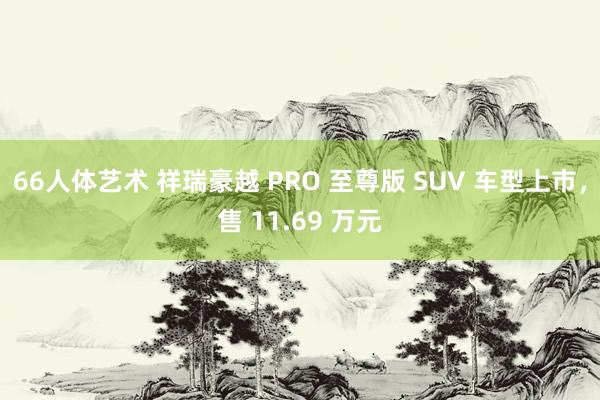 66人体艺术 祥瑞豪越 PRO 至尊版 SUV 车型上市，售 11.69 万元