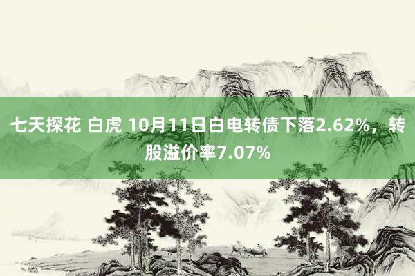 七天探花 白虎 10月11日白电转债下落2.62%，转股溢价率7.07%