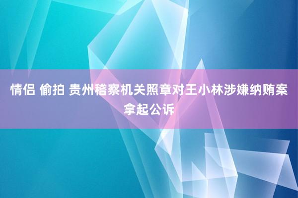 情侣 偷拍 贵州稽察机关照章对王小林涉嫌纳贿案拿起公诉