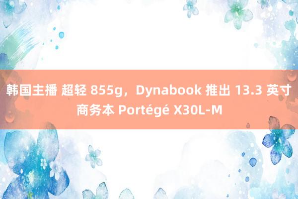 韩国主播 超轻 855g，Dynabook 推出 13.3 英寸商务本 Portégé X30L-M