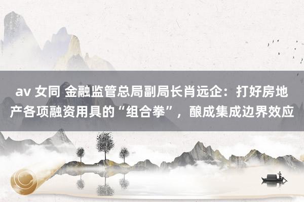 av 女同 金融监管总局副局长肖远企：打好房地产各项融资用具的“组合拳”，酿成集成边界效应