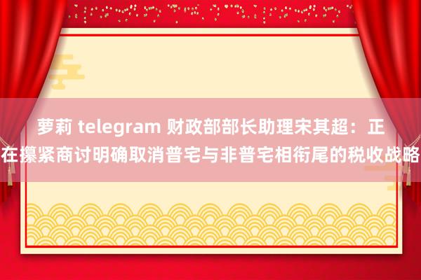 萝莉 telegram 财政部部长助理宋其超：正在攥紧商讨明确取消普宅与非普宅相衔尾的税收战略