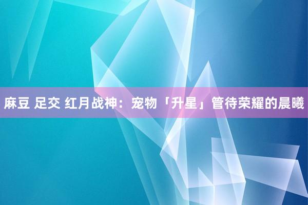 麻豆 足交 红月战神：宠物「升星」管待荣耀的晨曦