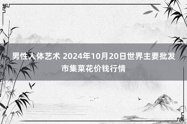 男性人体艺术 2024年10月20日世界主要批发市集菜花价钱行情