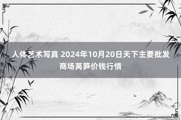 人体艺术写真 2024年10月20日天下主要批发商场莴笋价钱行情