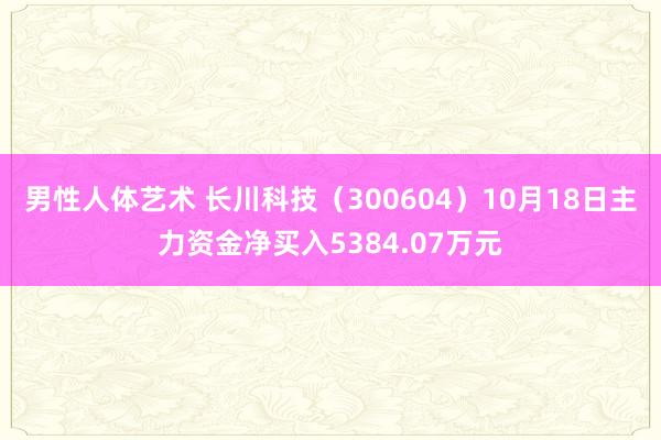 男性人体艺术 长川科技（300604）10月18日主力资金净买入5384.07万元