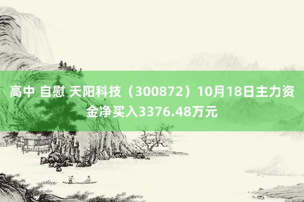 高中 自慰 天阳科技（300872）10月18日主力资金净买入3376.48万元