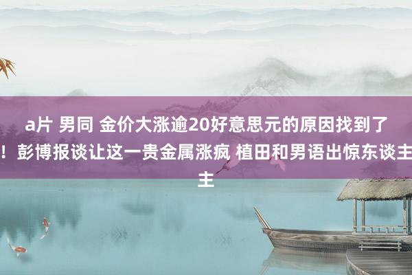 a片 男同 金价大涨逾20好意思元的原因找到了！彭博报谈让这一贵金属涨疯 植田和男语出惊东谈主