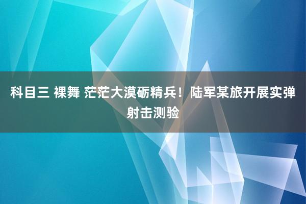 科目三 裸舞 茫茫大漠砺精兵！陆军某旅开展实弹射击测验