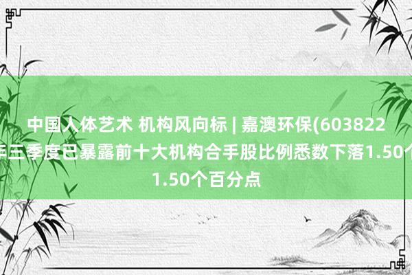 中国人体艺术 机构风向标 | 嘉澳环保(603822)2024年三季度已暴露前十大机构合手股比例悉数下落1.50个百分点