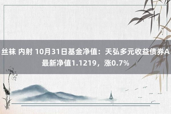 丝袜 内射 10月31日基金净值：天弘多元收益债券A最新净值1.1219，涨0.7%