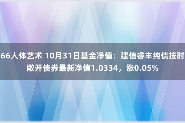 66人体艺术 10月31日基金净值：建信睿丰纯债按时敞开债券最新净值1.0334，涨0.05%