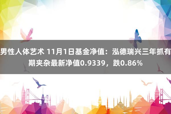 男性人体艺术 11月1日基金净值：泓德瑞兴三年抓有期夹杂最新净值0.9339，跌0.86%