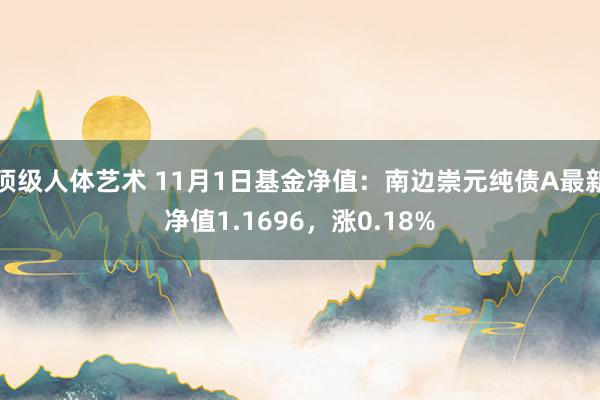 顶级人体艺术 11月1日基金净值：南边崇元纯债A最新净值1.1696，涨0.18%