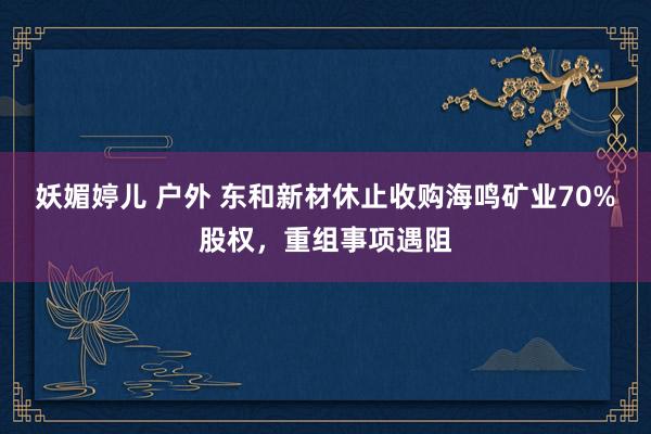 妖媚婷儿 户外 东和新材休止收购海鸣矿业70%股权，重组事项遇阻