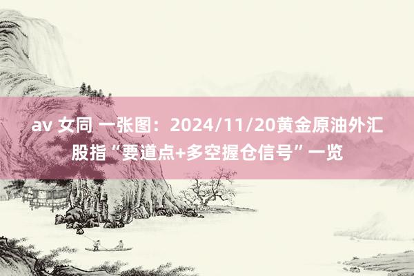 av 女同 一张图：2024/11/20黄金原油外汇股指“要道点+多空握仓信号”一览