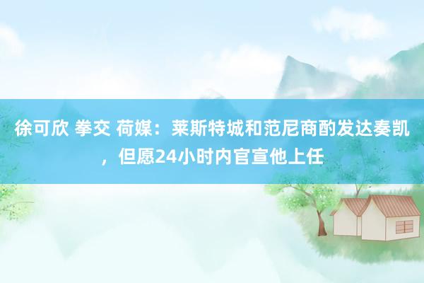 徐可欣 拳交 荷媒：莱斯特城和范尼商酌发达奏凯，但愿24小时内官宣他上任