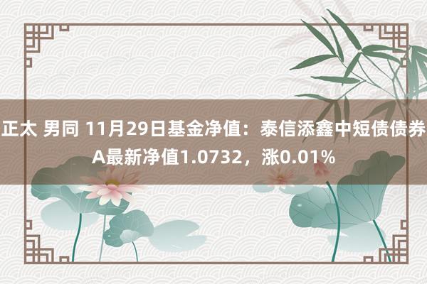 正太 男同 11月29日基金净值：泰信添鑫中短债债券A最新净值1.0732，涨0.01%