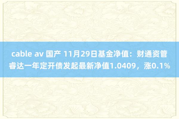 cable av 国产 11月29日基金净值：财通资管睿达一年定开债发起最新净值1.0409，涨0.1%