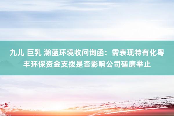 九儿 巨乳 瀚蓝环境收问询函：需表现特有化粤丰环保资金支拨是否影响公司磋磨举止