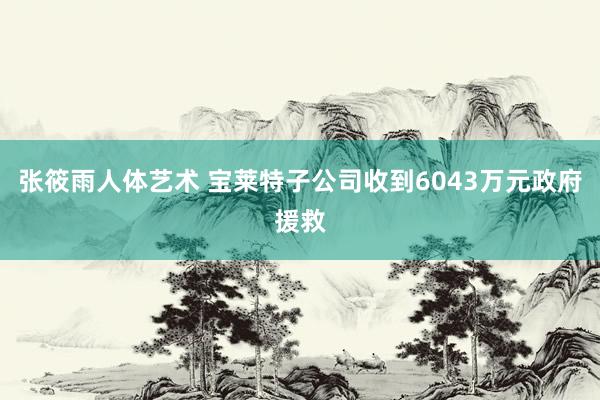 张筱雨人体艺术 宝莱特子公司收到6043万元政府援救