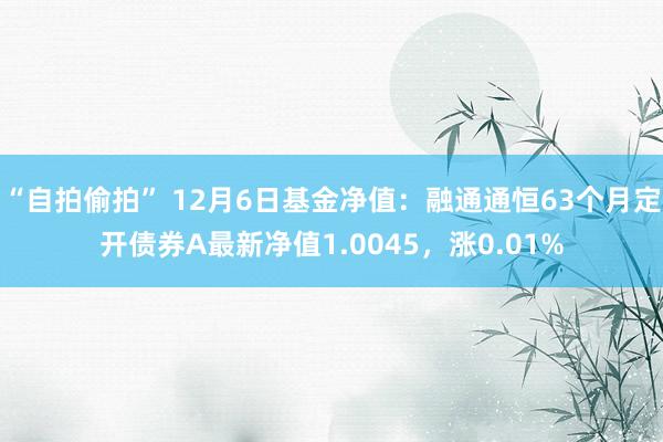 “自拍偷拍” 12月6日基金净值：融通通恒63个月定开债券A最新净值1.0045，涨0.01%