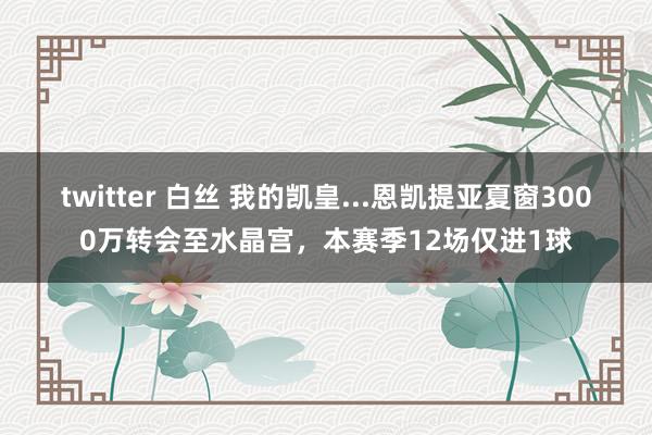 twitter 白丝 我的凯皇...恩凯提亚夏窗3000万转会至水晶宫，本赛季12场仅进1球