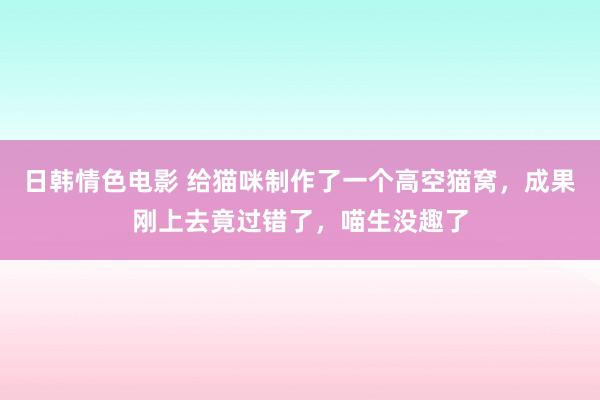 日韩情色电影 给猫咪制作了一个高空猫窝，成果刚上去竟过错了，喵生没趣了