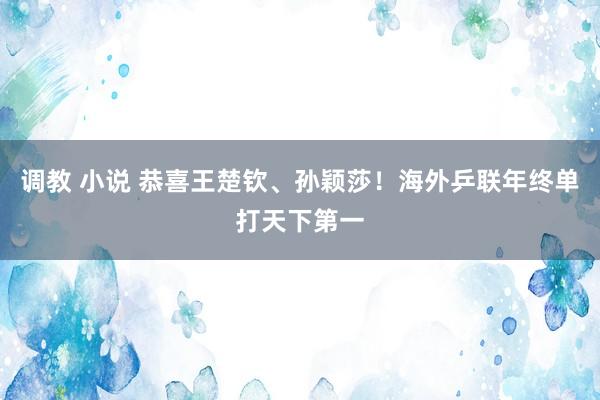 调教 小说 恭喜王楚钦、孙颖莎！海外乒联年终单打天下第一