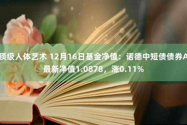 顶级人体艺术 12月16日基金净值：诺德中短债债券A最新净值1.0878，涨0.11%