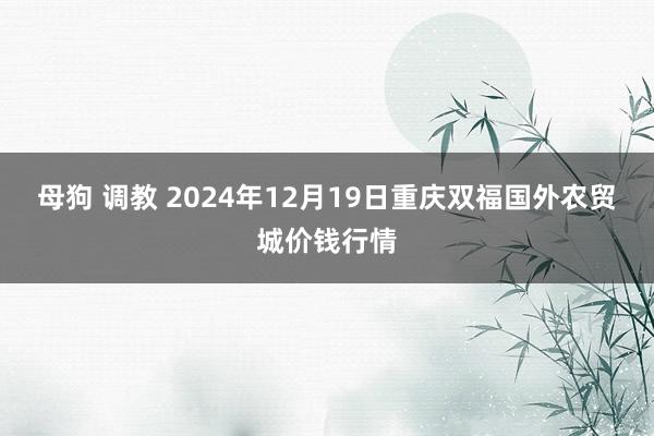 母狗 调教 2024年12月19日重庆双福国外农贸城价钱行情