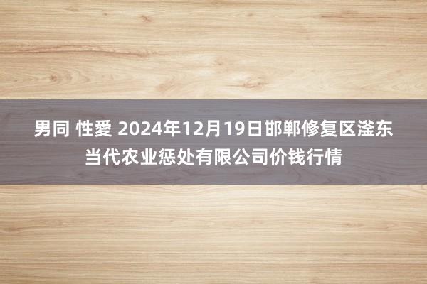 男同 性愛 2024年12月19日邯郸修复区滏东当代农业惩处有限公司价钱行情