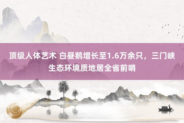 顶级人体艺术 白昼鹅增长至1.6万余只，三门峡生态环境质地居全省前哨