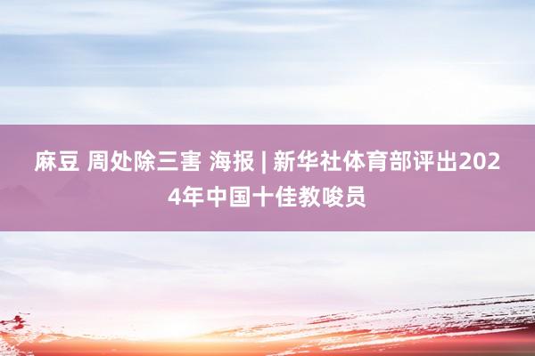 麻豆 周处除三害 海报 | 新华社体育部评出2024年中国十佳教唆员